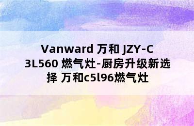 Vanward 万和 JZY-C3L560 燃气灶-厨房升级新选择 万和c5l96燃气灶